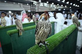 Kuwait Falcons Exhibition - Kuwait