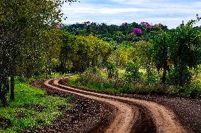 MOTORI - Rally - WRC Rally Paraguay 2025