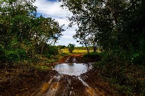 MOTORI - Rally - WRC Rally Paraguay 2025