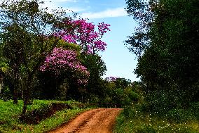 MOTORI - Rally - WRC Rally Paraguay 2025