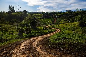 MOTORI - Rally - WRC Rally Paraguay 2025