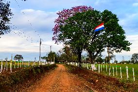 MOTORI - Rally - WRC Rally Paraguay 2025