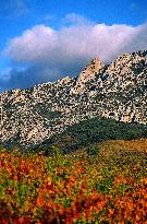 Illustration - Cathar Castles