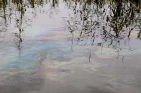 Polluted water