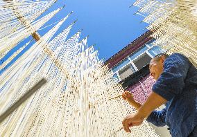 Intangible Cultural Heritage Noodles