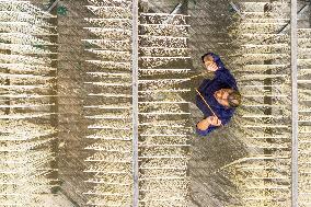 Intangible Cultural Heritage Noodles