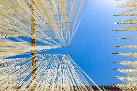 Intangible Cultural Heritage Noodles