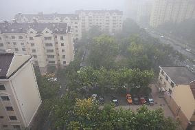 Rainstorm Hit Qingdao