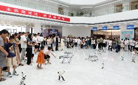 Chongqing Intelligent Engineering Vocational College 2025 Freshmen Report For Duty