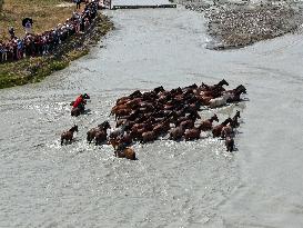 Horses Cross The Tekes River in Zhaosu Wetland Park