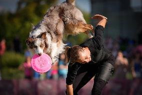 20th Flying Dogs Frisbee Competition - Warsaw