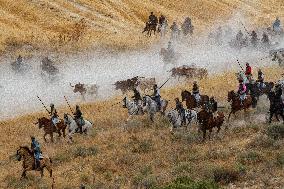 Running of The Bulls of Cuellar 2025 - Spain