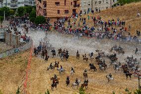 Running of The Bulls of Cuellar 2025 - Spain