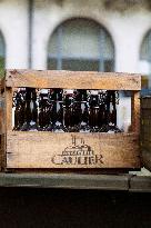 Vintage Vehicle Parade - Perigueux