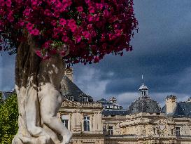 Illustration - The Senate Building - Paris