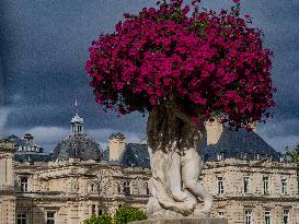 Illustration - The Senate Building - Paris