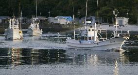 Dolphin hunt season begins in western Japan town