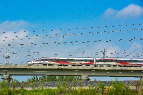 National Railway Summer Transport Exceeds 900 Million Passengers