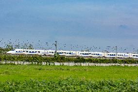 National Railway Summer Transport Exceeds 900 Million Passengers