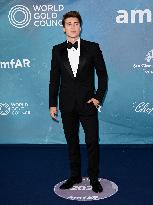 Venice - amFAR
