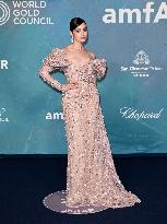 Venice - amFAR