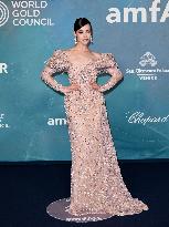 Venice - amFAR