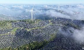 Power Generation Industry