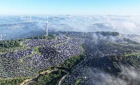 Power Generation Industry