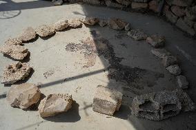 West Bank Tensions Escalate Amid Clashes - Yatta