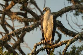 Wildlife And Landscapes - Sri Lanka