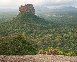 Wildlife And Landscapes - Sri Lanka