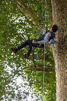 La Foret Des Livres 2025 - Chanceaux-pres-Loches