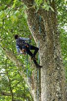 La Foret Des Livres 2025 - Chanceaux-pres-Loches