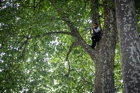 La Foret Des Livres 2025 - Chanceaux-pres-Loches