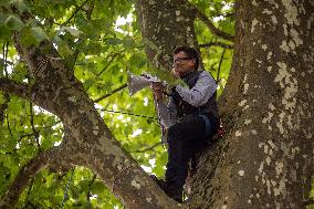 La Foret Des Livres 2025 - Chanceaux-pres-Loches