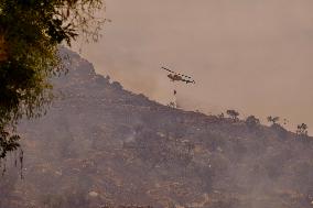 A New Fire Affects The Monte Coronado Area In Malaga - Spain