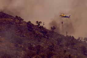 A New Fire Affects The Monte Coronado Area In Malaga - Spain