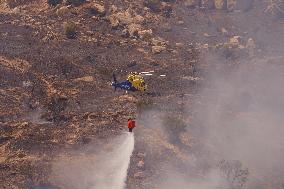 A New Fire Affects The Monte Coronado Area In Malaga - Spain