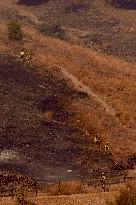 A New Fire Affects The Monte Coronado Area In Malaga - Spain