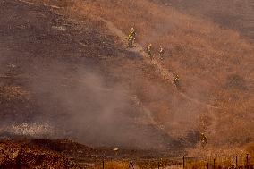 A New Fire Affects The Monte Coronado Area In Malaga - Spain