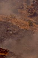 A New Fire Affects The Monte Coronado Area In Malaga - Spain