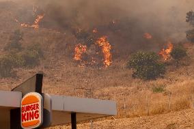 A New Fire Affects The Monte Coronado Area In Malaga - Spain