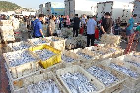 The First Batch of Seafood