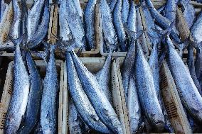 The First Batch of Seafood