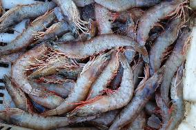 The First Batch of Seafood