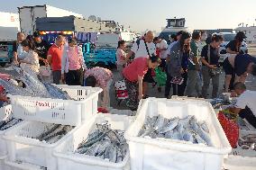 The First Batch of Seafood