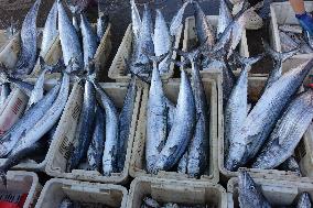 The First Batch of Seafood