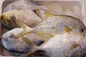 The First Batch of Seafood