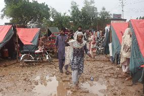 Displaced Palestinians On Al-Rasheed Street - Gaza City