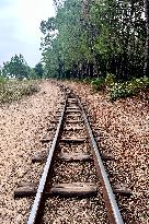 Illustration - Oleron Island